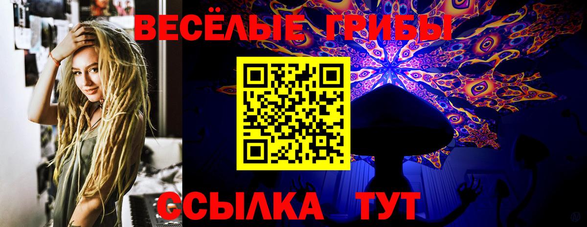 Галлюциногенные грибы Psilocybe Боровичи