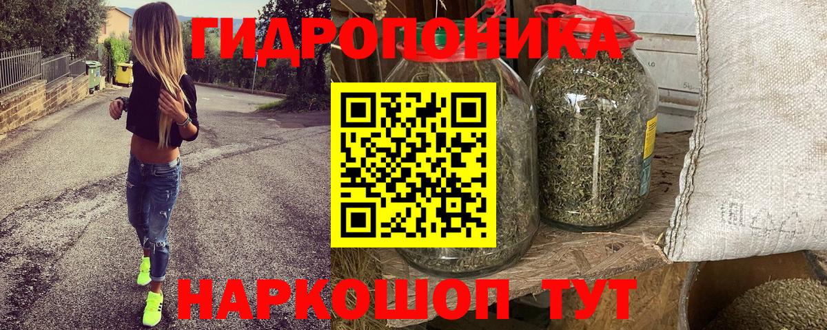 Бошки марихуана OG Kush Боровичи